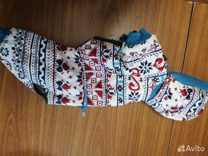 Одежда для собак