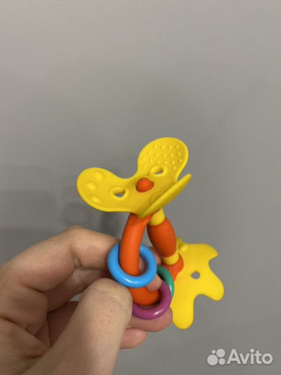 Грызунок pigeon