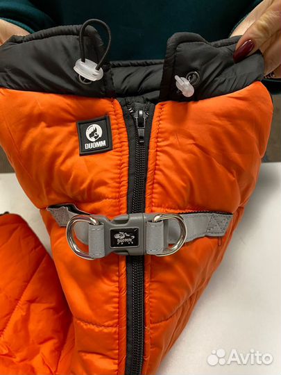 Одежда для собак