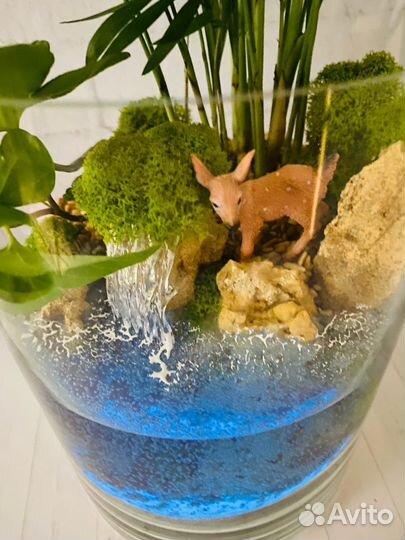 Флорариум. Уникальный подарок