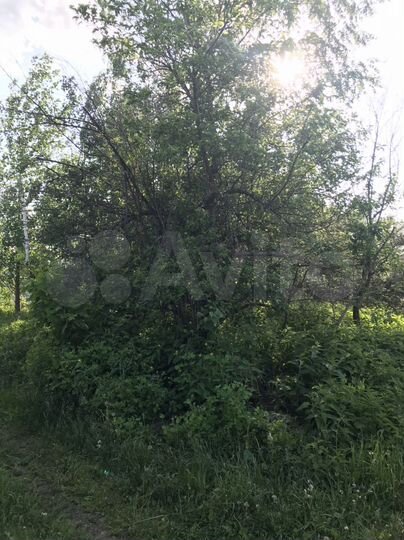 Участок 9 сот. (СНТ, ДНП)