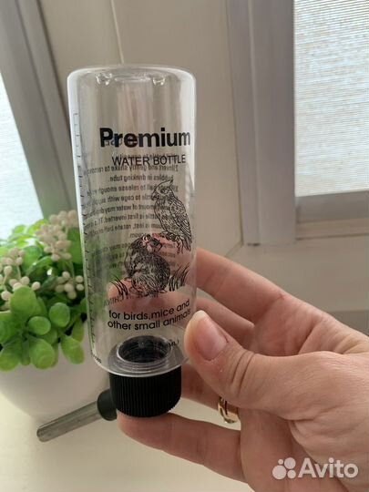 Вещи для грызунов