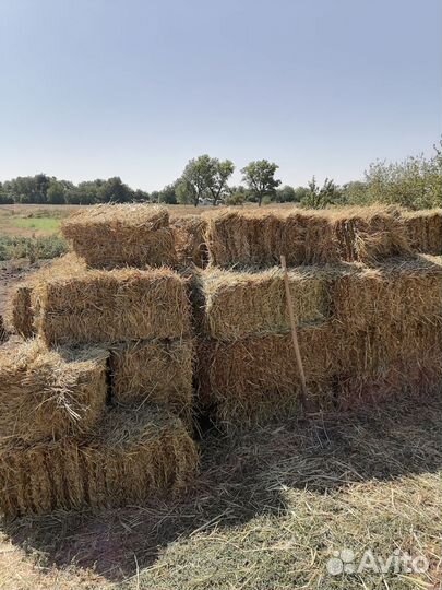 Сено в тюках
