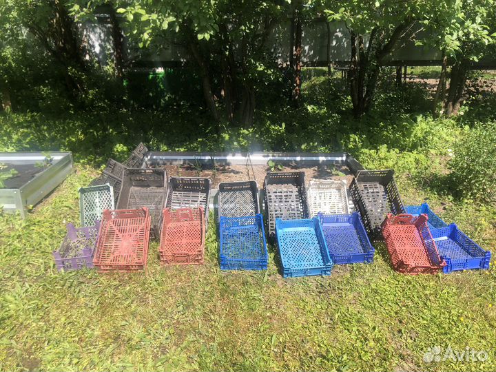 Пластиковые ящики бу