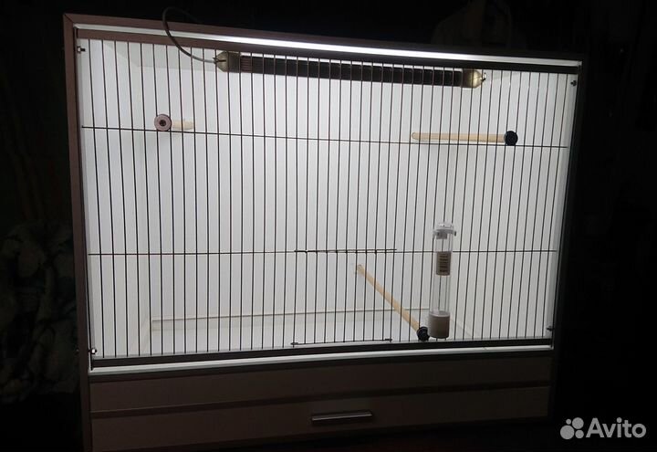 Бокс для птиц