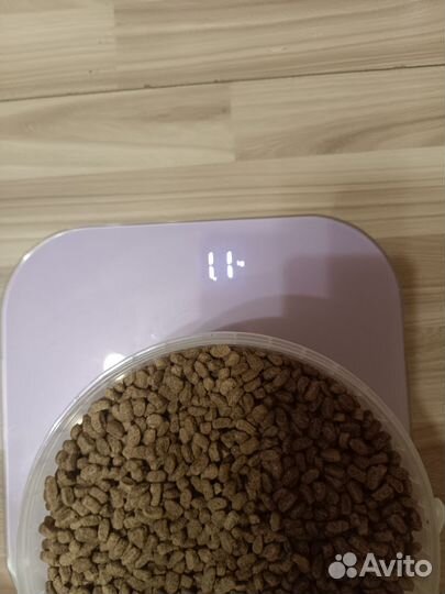 Корм для кошек