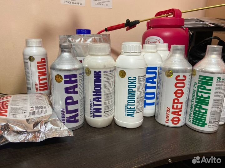 Обработка от плесени, тараканов уничтожение клопов