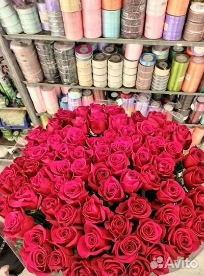 Розы Высокие 150см 160см 170см 180см 190см 2м