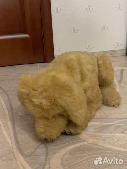 Интерактивная собака Hasbro