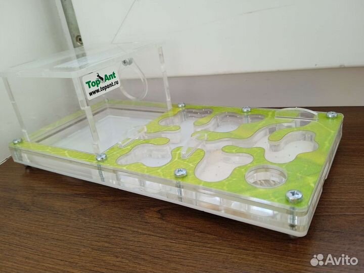 Формикарий-муравьиная ферма