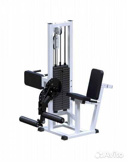 Разгибание ног сидя + сгибание стоя (стек 100кг)