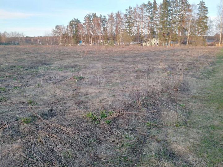 Участок 16 сот. (ИЖС)