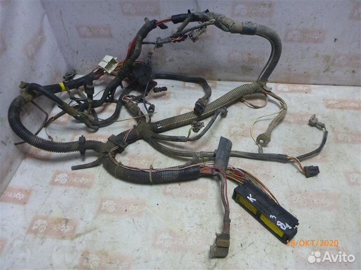 Проводка моторного отсека Renault Symbol LB0C