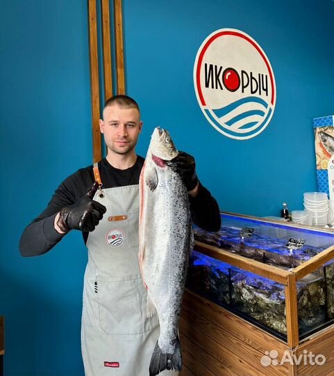 Форель из Карелии семга лосось