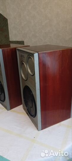 Акустические колонки 25ас-109