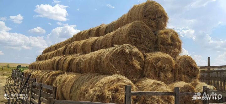 Сено в рулонах