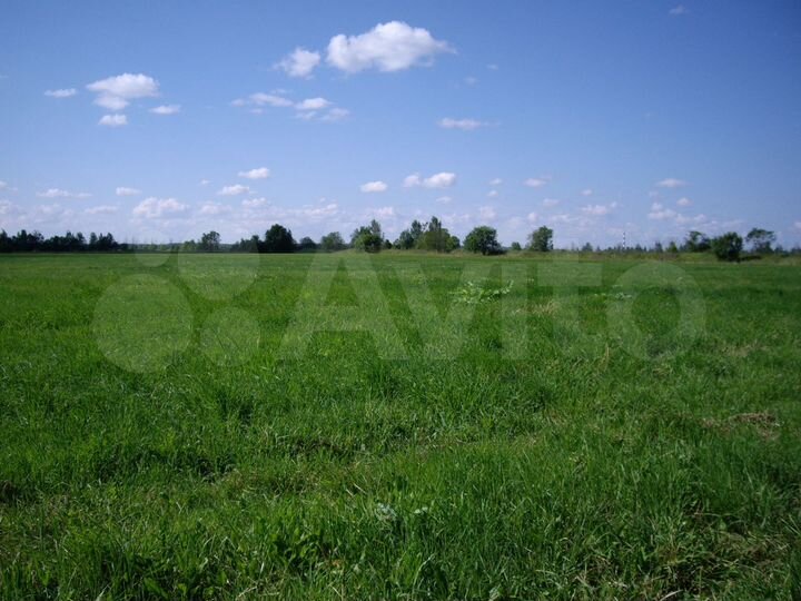 Участок 1,29 га (СНТ, ДНП)