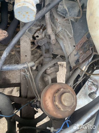 Гуры от Соболя