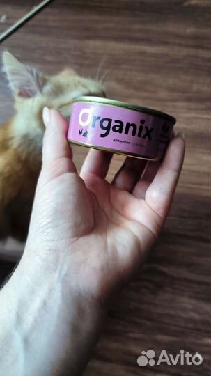 Влажный корм для котят Organix кролик/курица