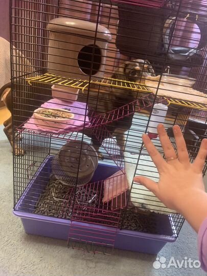 Клетка для хомяка/ крыс