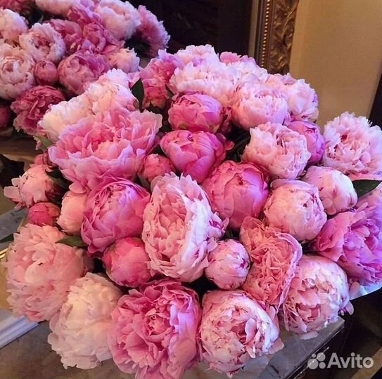 Пионы Букет пионов