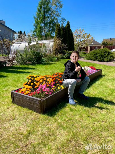 Грядки дпк вечные