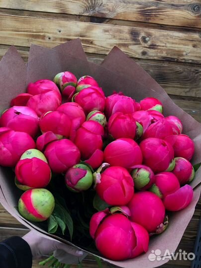 Пионы с доставкой