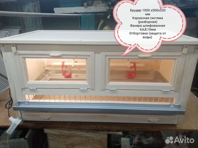 Брудер для цыплят