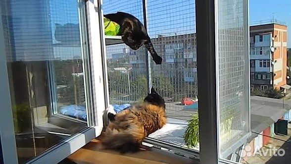 Кошачий балкончик съёмный на окно пвх