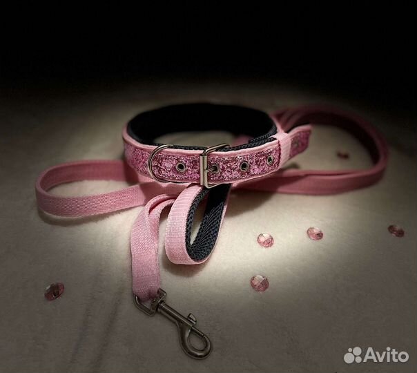 Ошейник и поводок для собак