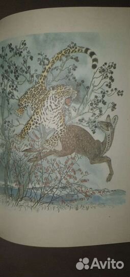 Комплект книг 