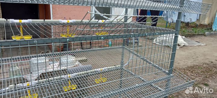 Клетки для перепелов с поддонами для помёта(Новые)