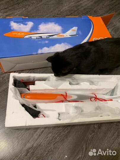 Коллекционная модель самолета TNT Express