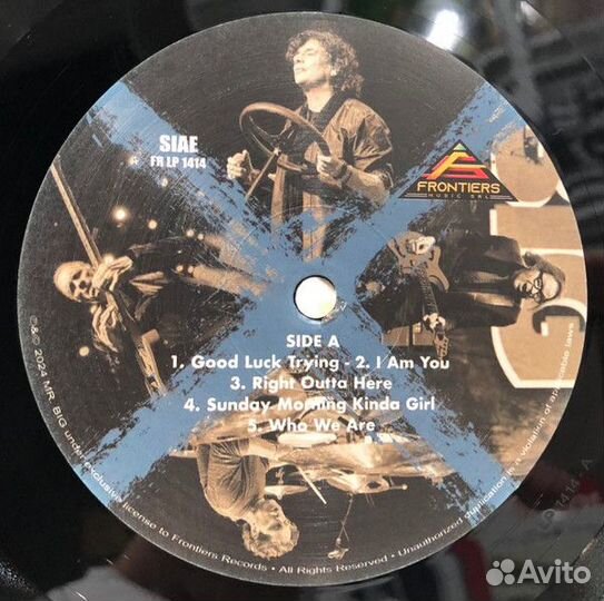 Винил Mr. Big – Ten