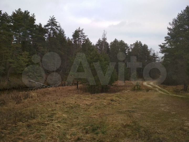 Участок 25 сот. (СНТ, ДНП)