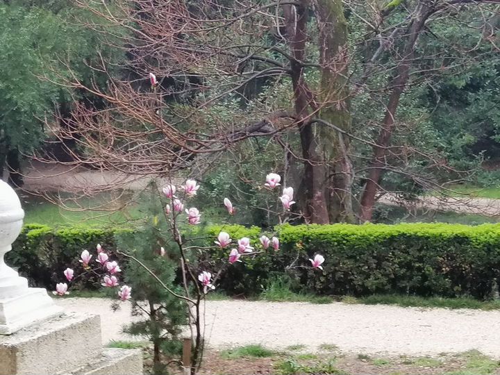 Апартаменты-студия, 22 м², 1/7 эт.