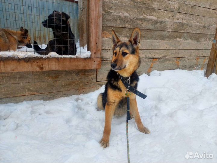 Нюра около 7 месяцев