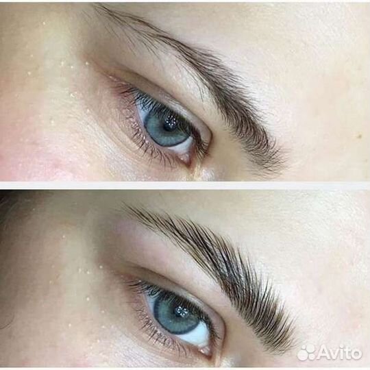 Мастер бровист