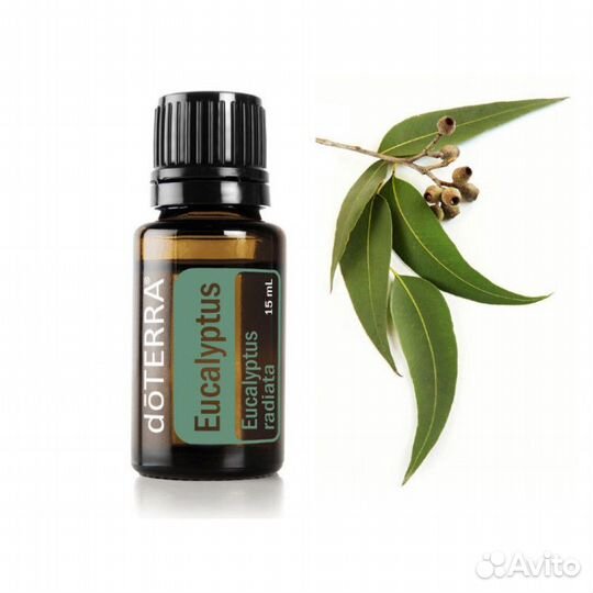 Эвкалипт Эфирное масло Дотерра, 15 мл