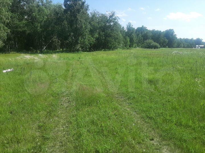 Участок 12,9 сот. (СНТ, ДНП)