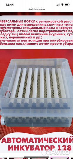 Инкубатор для яиц автоматический бу
