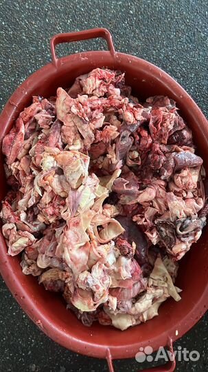 Говяжьи обрези для собак