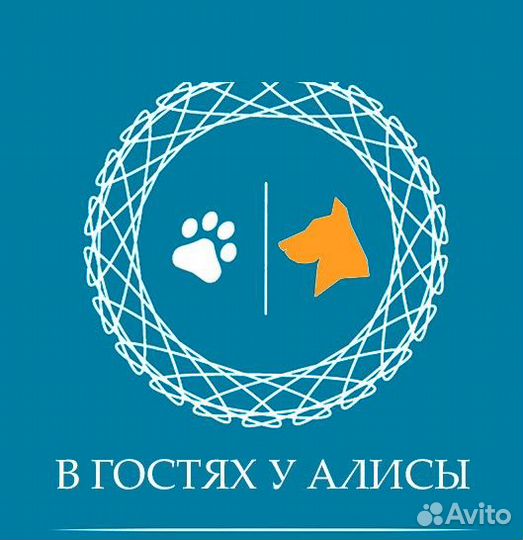 Передержка, дрессировка и выгул собак