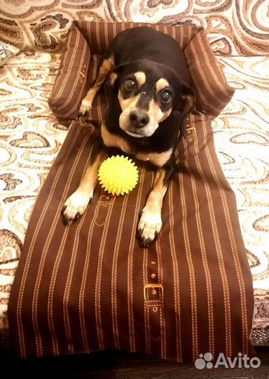 Лежанка для собак(антивандальная ткань)