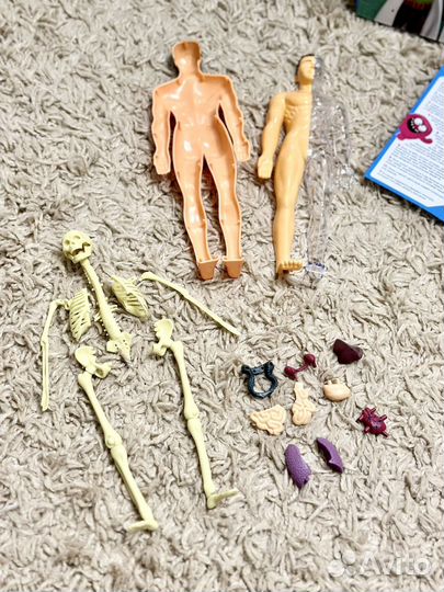 Развивающий набор по анатомии Эврики