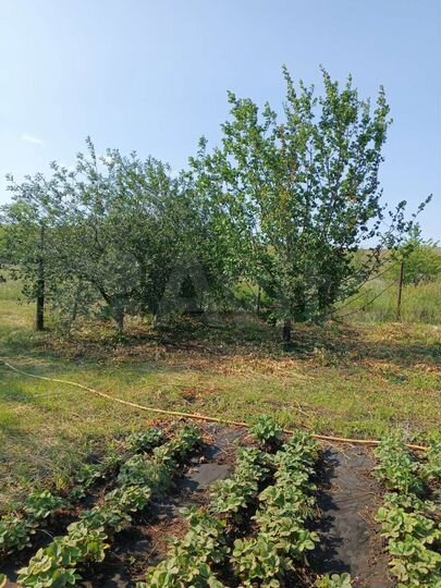 Участок 6 сот. (СНТ, ДНП)