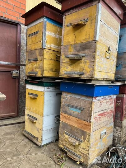 Улей для пчел