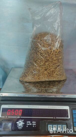 Лечинка черной львинки