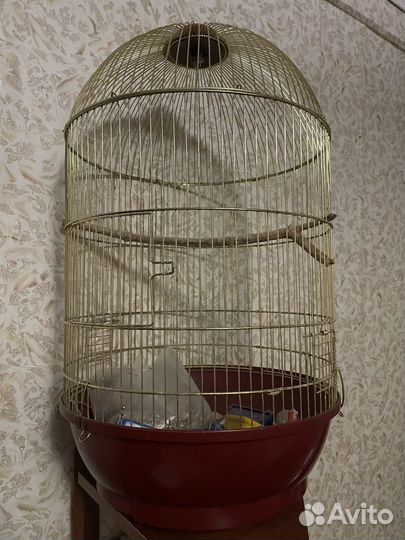 Клетка для канареек