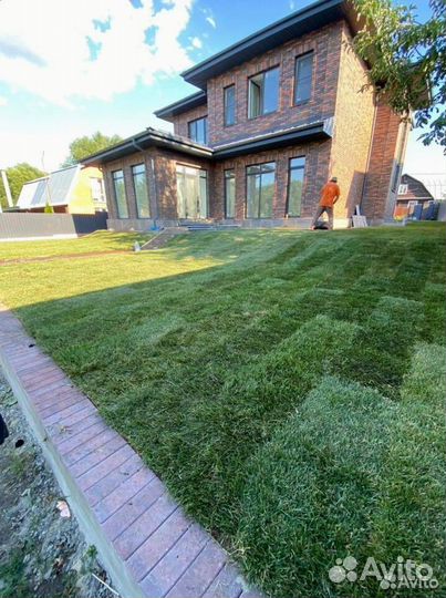 Рулонный газон с укладкой, обслуживание